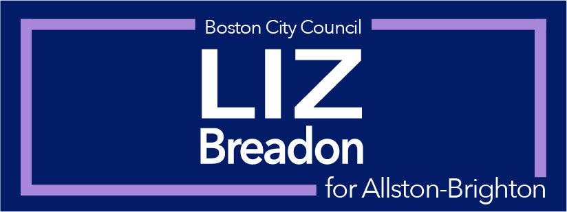 Liz Breadon for District 9 logo
