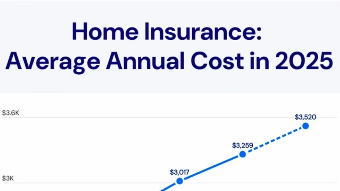 Video component image