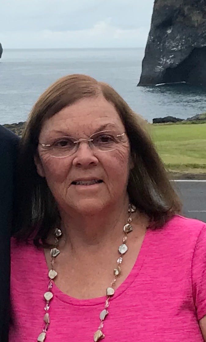 <p>Susanne Croy</p><p>Town Meeting Member, Precinct 6 </p><p>Warrant Committee Member</p>