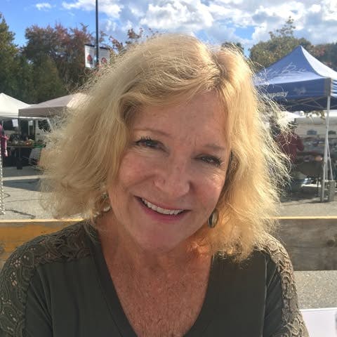 <p>Alison Lenk</p><p>Town Meeting Member, Precinct 8</p>