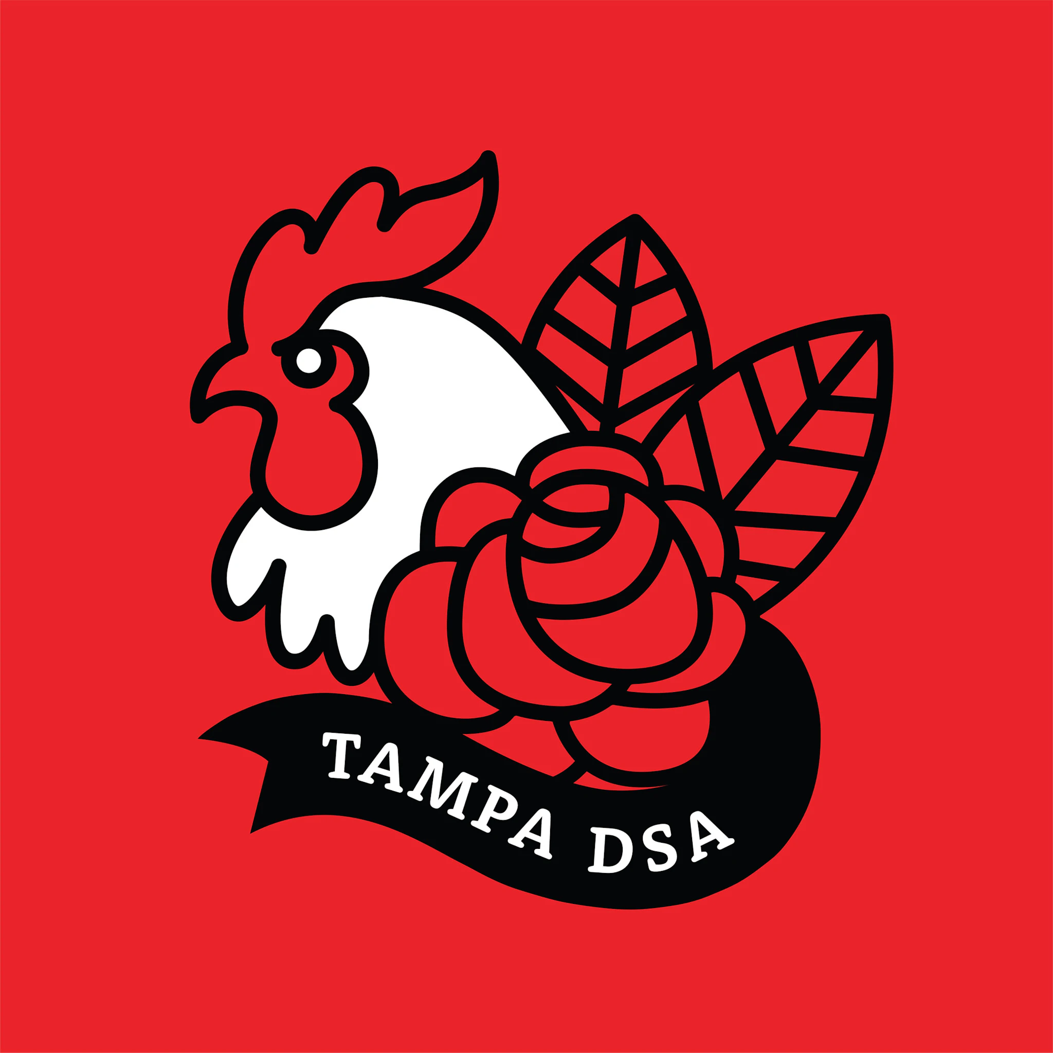 Tampa DSA