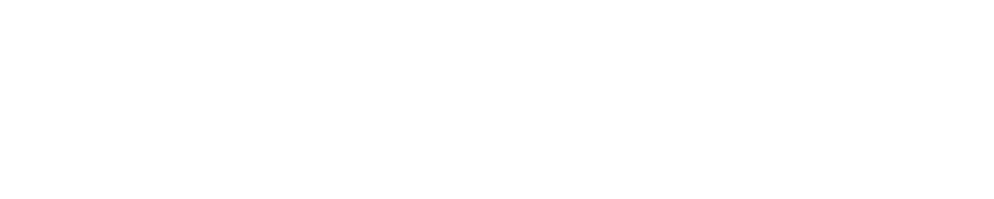 Ashley Bell for Congress