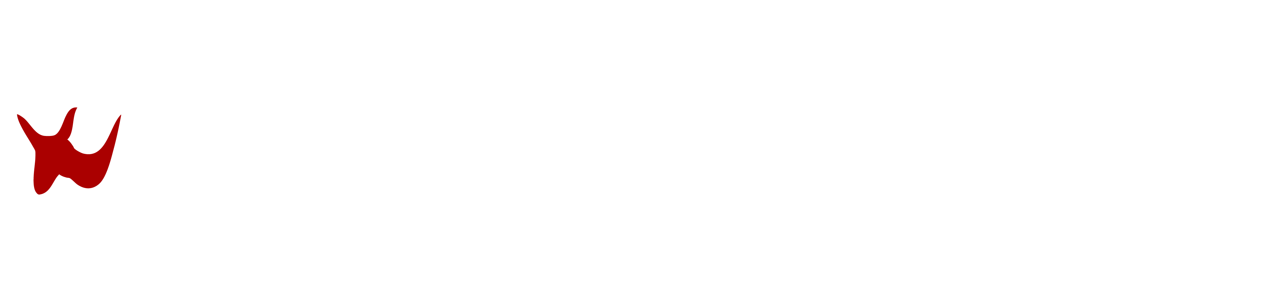 Albemarle Co. Democratic Party