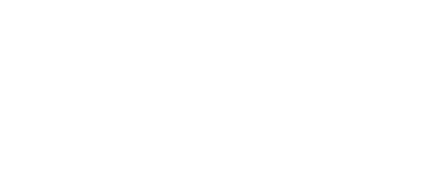 SandraforAlaska logo