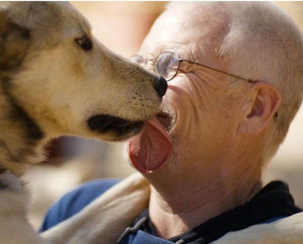 Jeff King, Four time Iditarod Champion