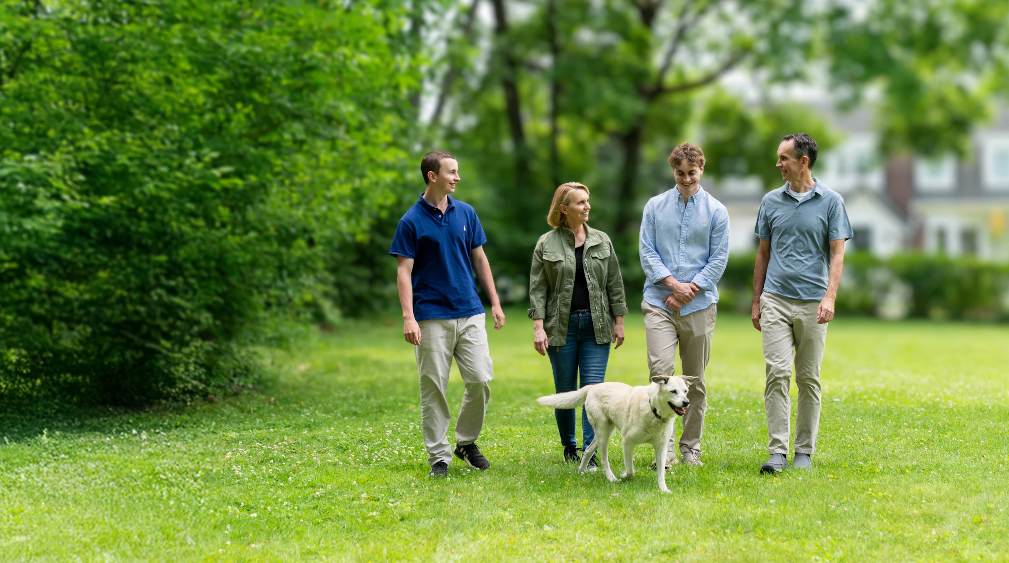 Hero background image