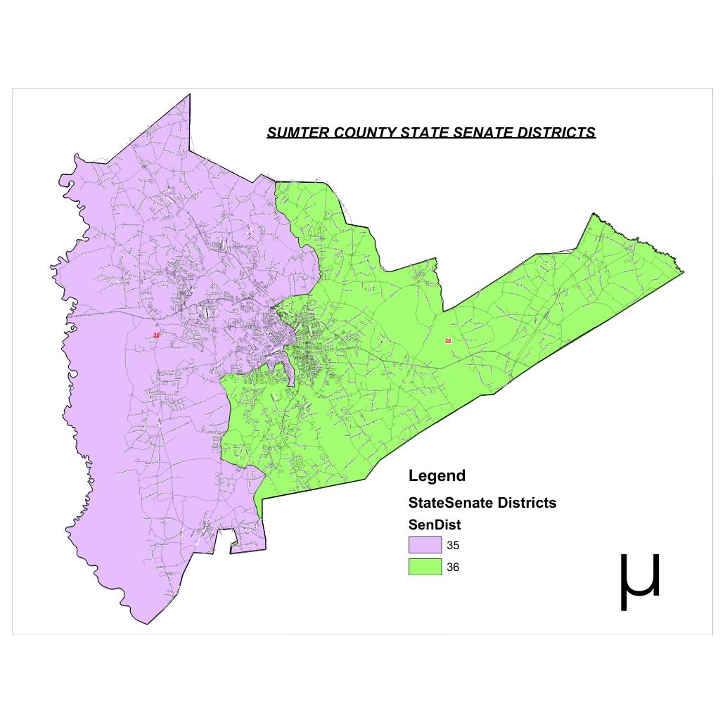 Sumter Count STATE SENATE Districts