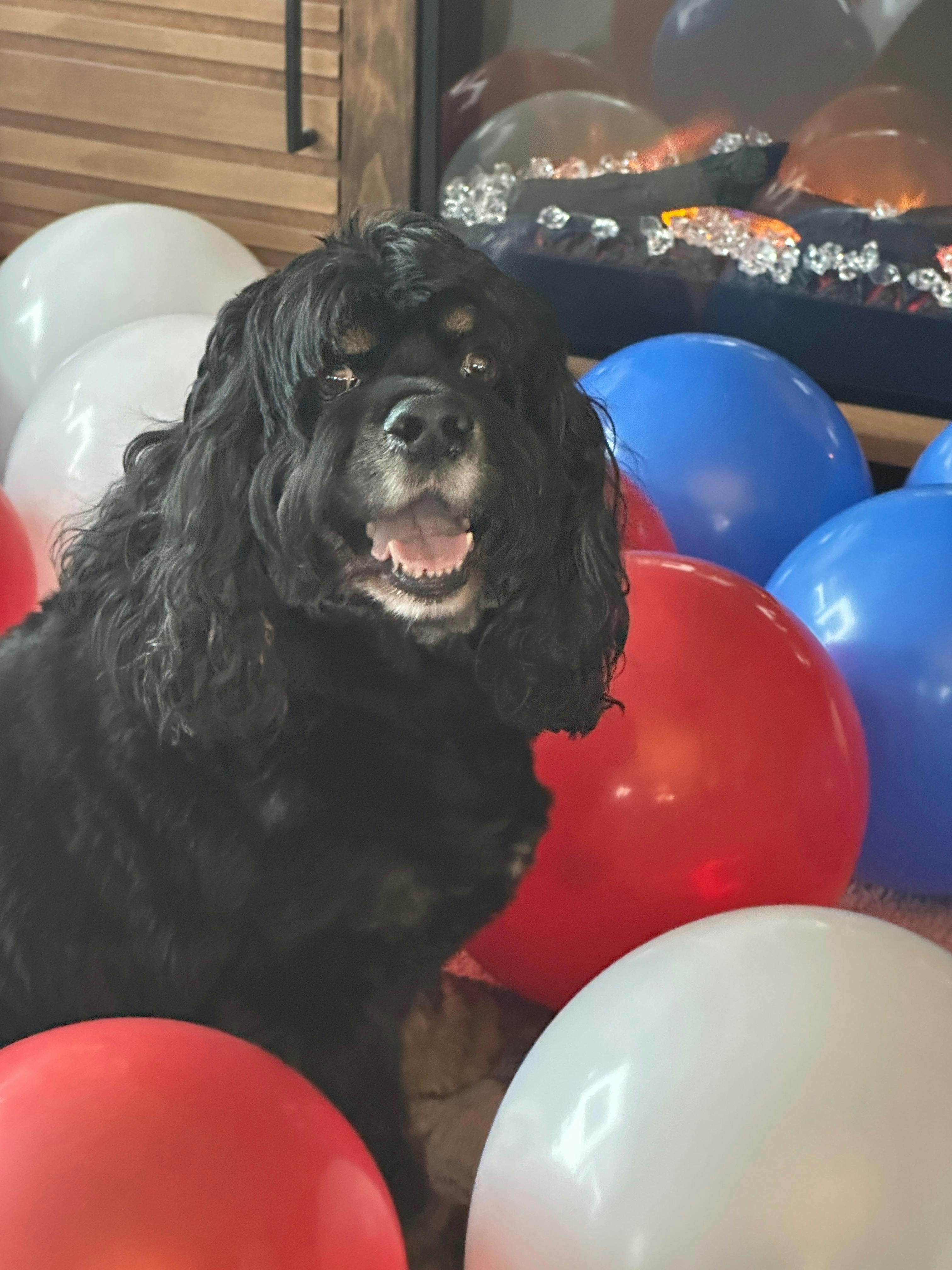 Oliver in Balloons