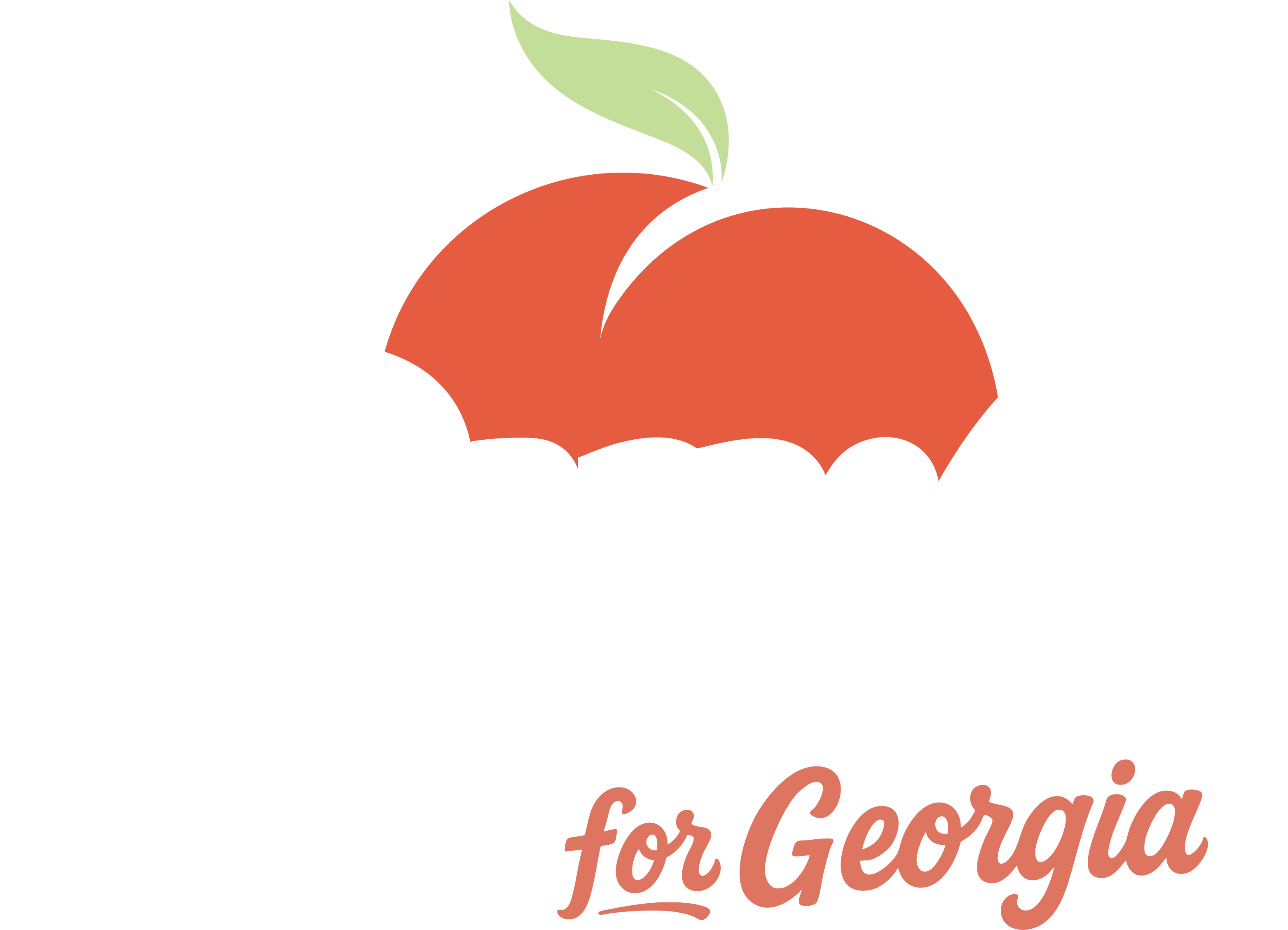 Ruwa Romman for Governor of Georgia
