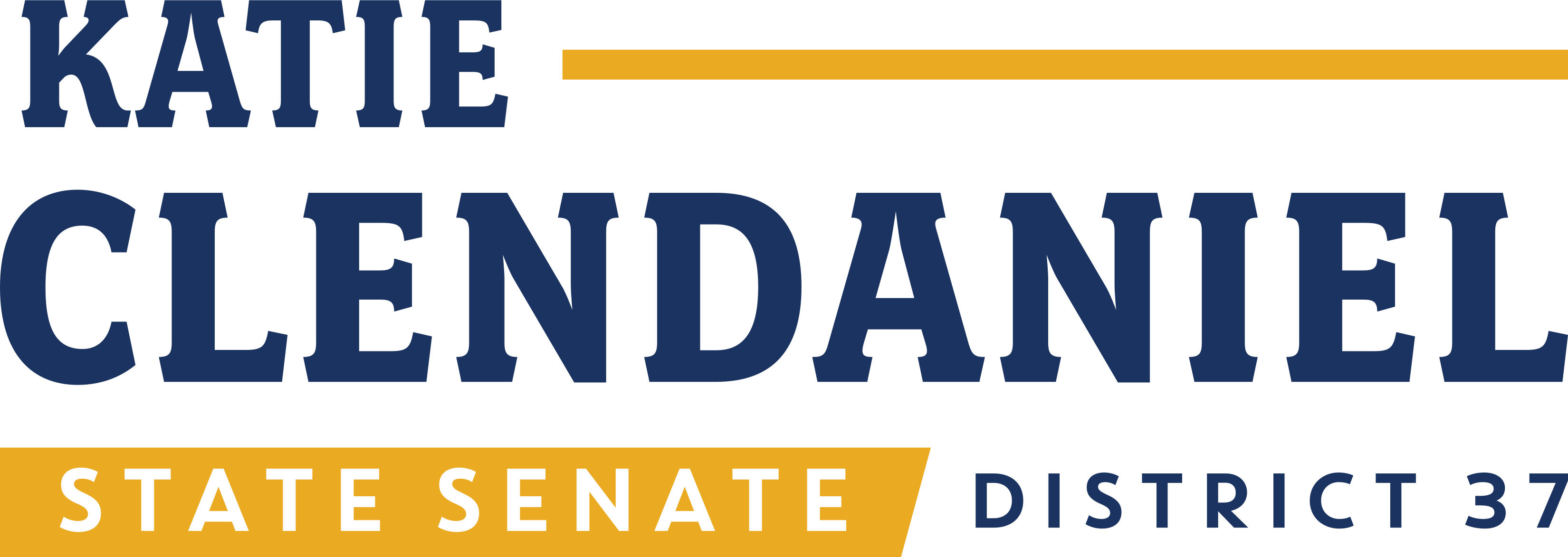 Katie Clendaniel for State Senate