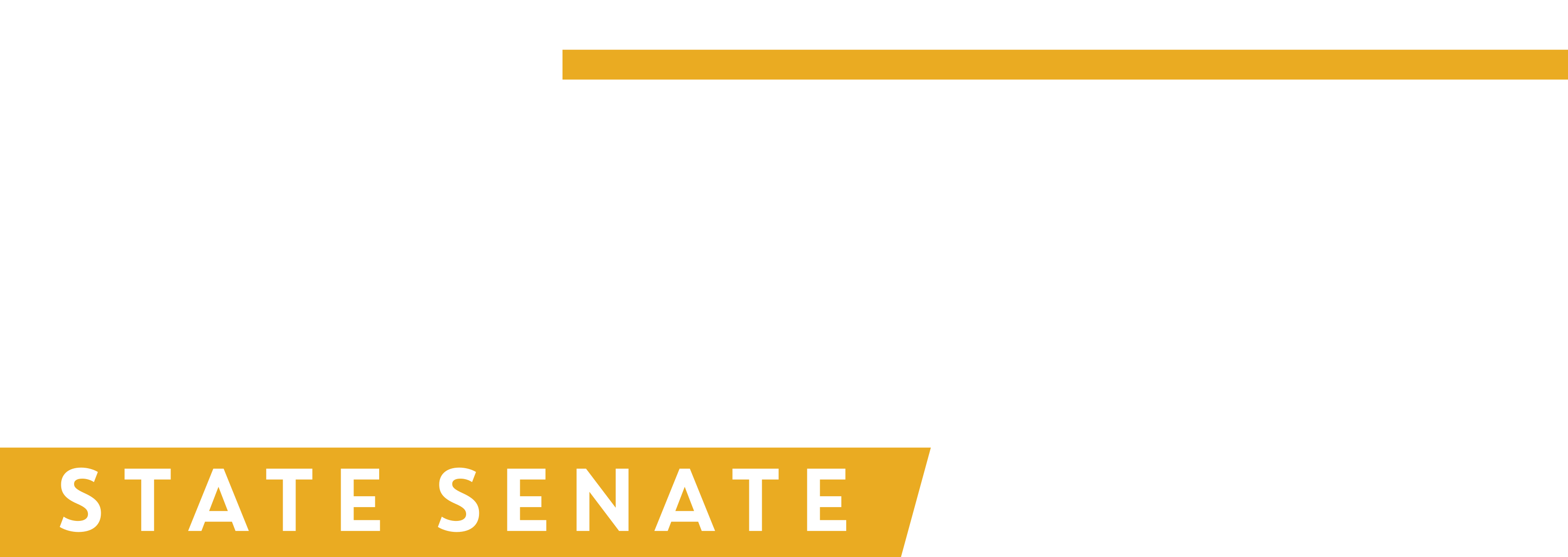 Katie Clendaniel for State Senate