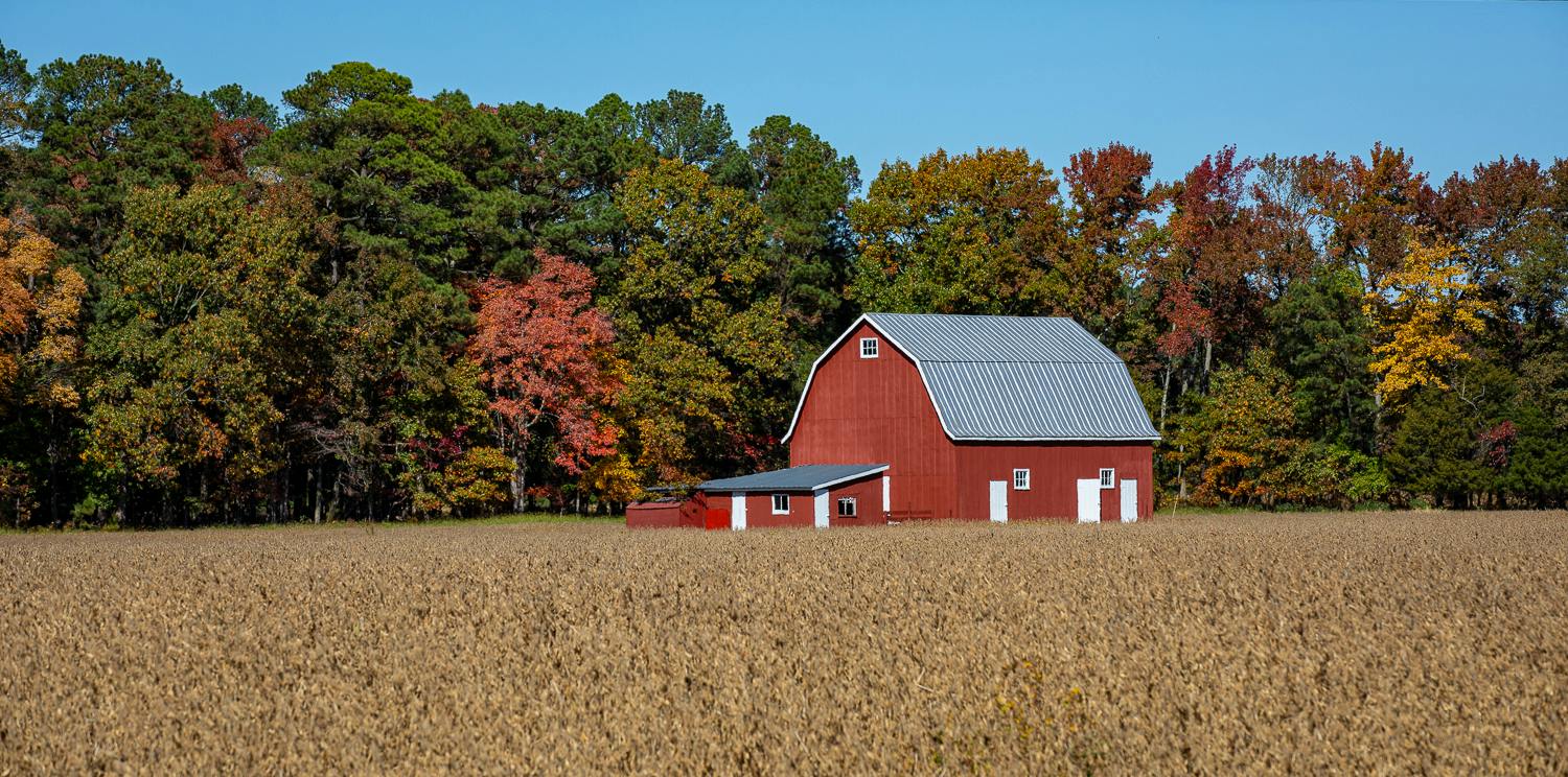 A fall barn on Maryland’s Eastern Shore