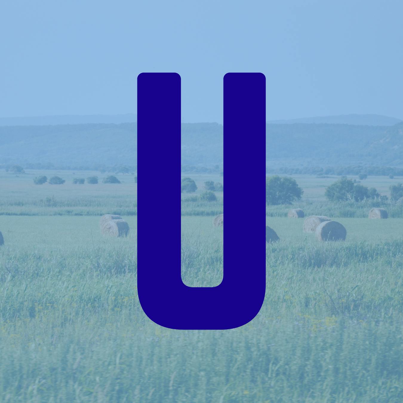 U