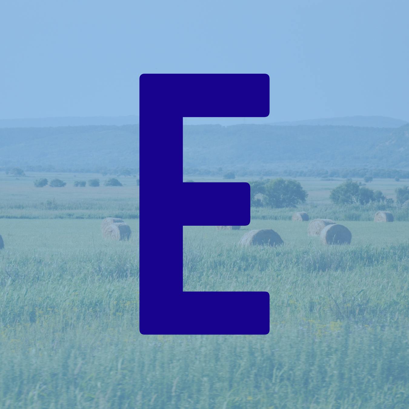 E