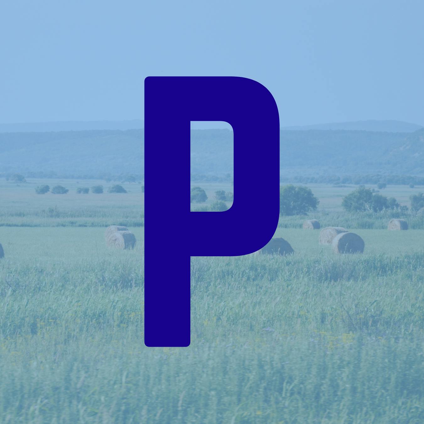 P
