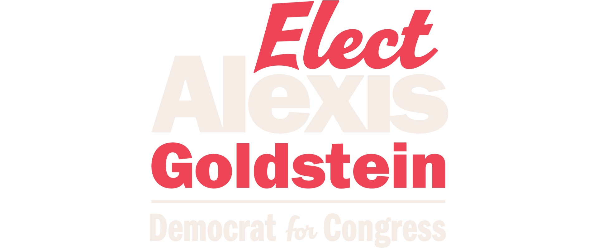 Elect Alexis Goldstein Logo