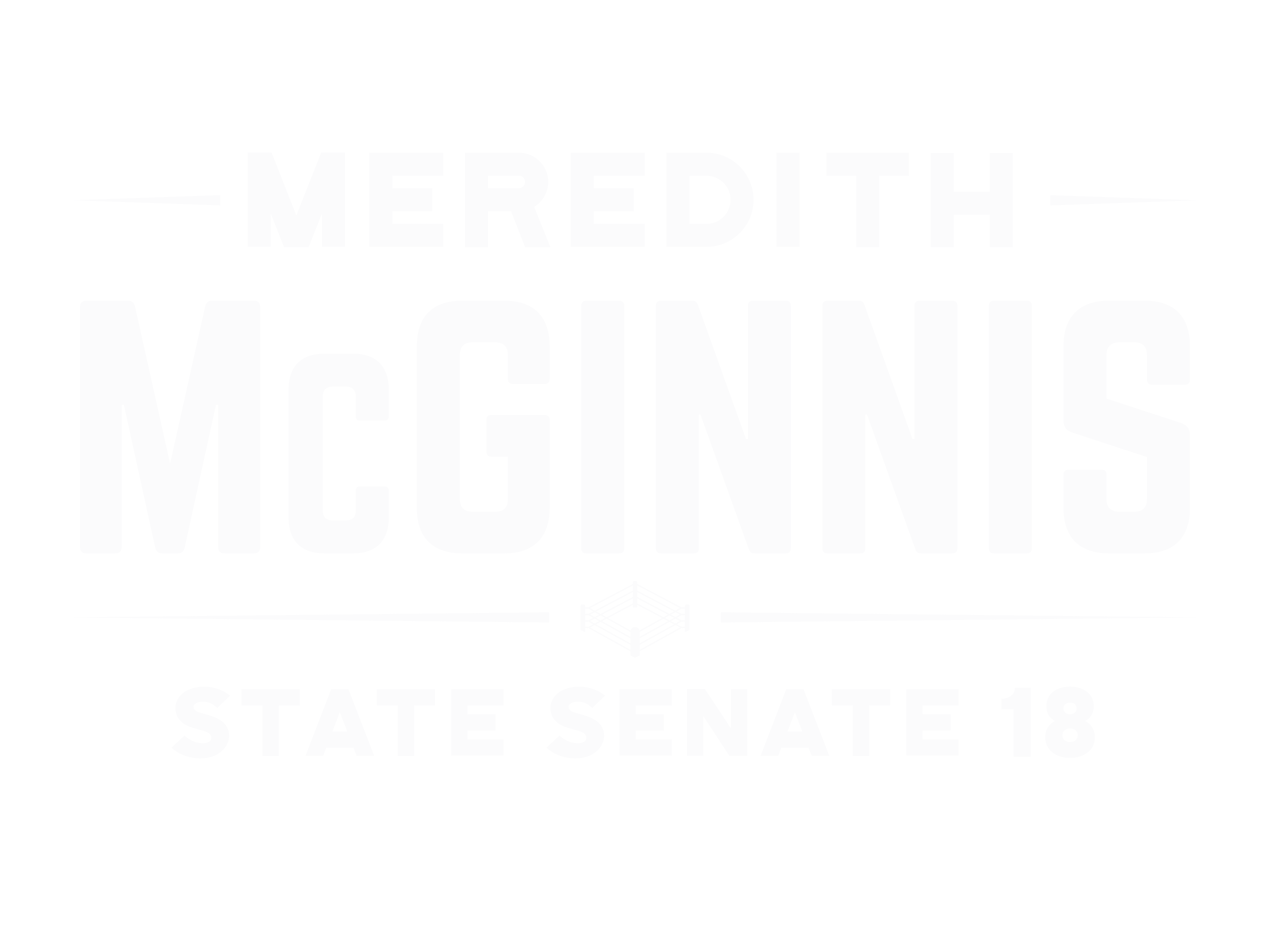 Meredith McGinnis for Senate logo