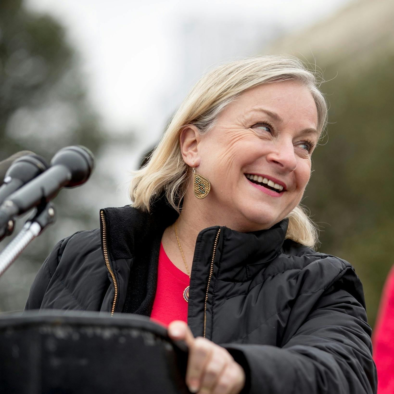 <p>Congresswoman susan wild</p>