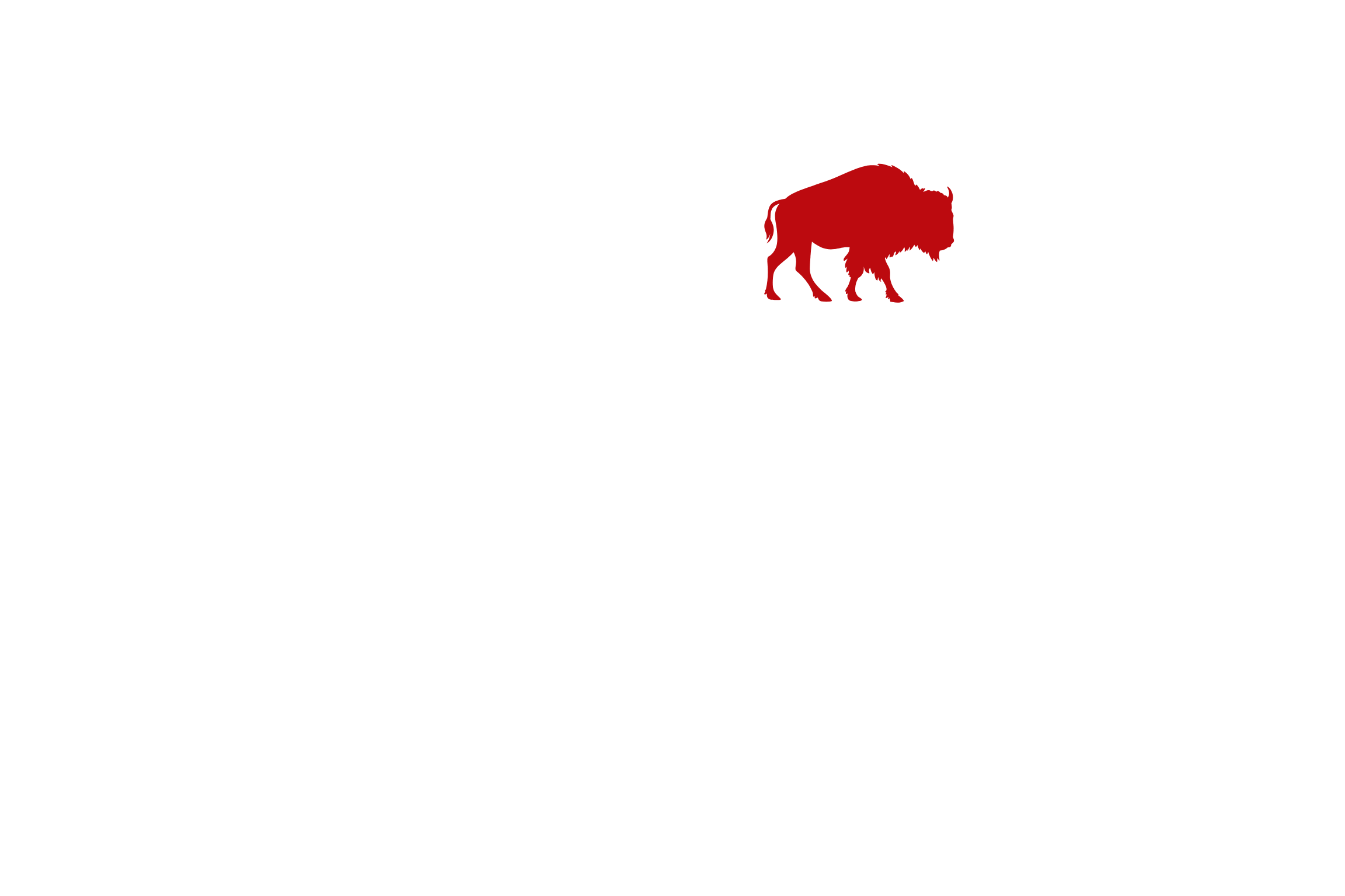 Ashtyn Smith for House logo