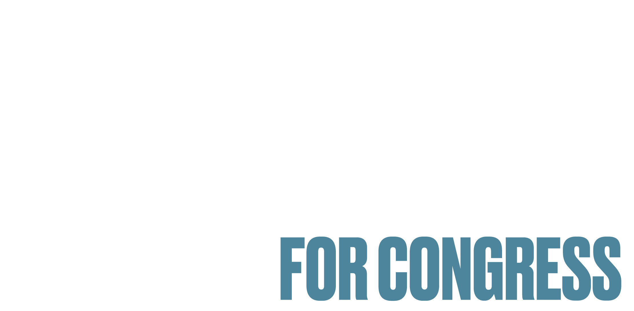 Mike Goldfarb for Congress