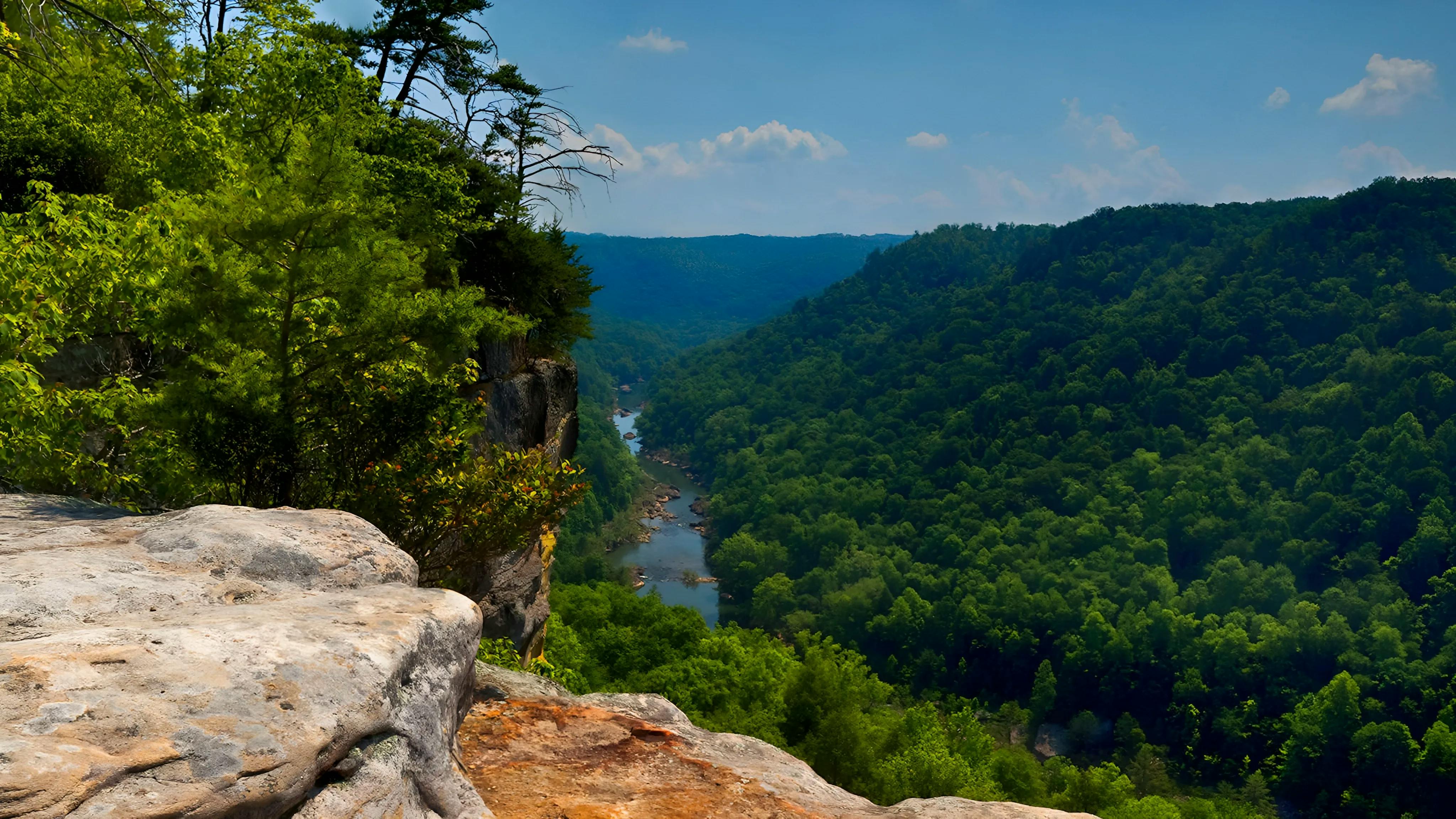 Video component image