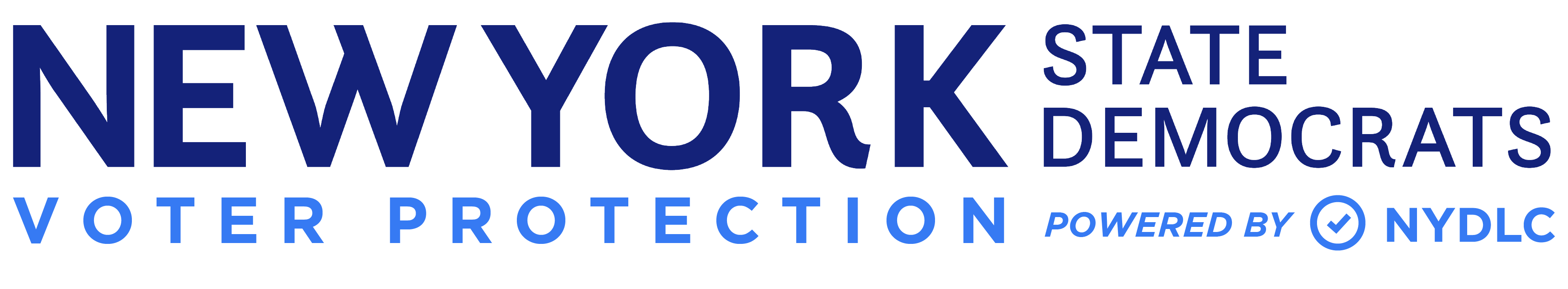NY Dems Voter Protection
