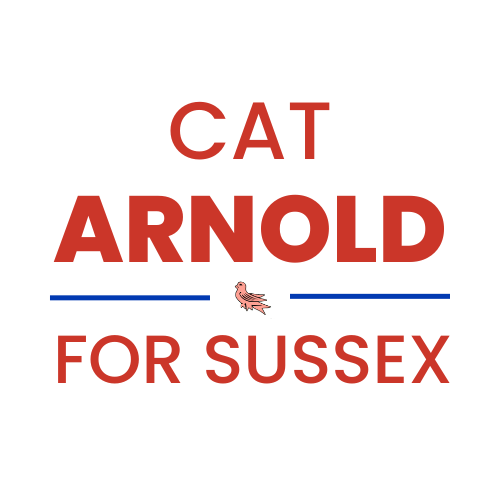 Cat Arnold for Sussex Mayor