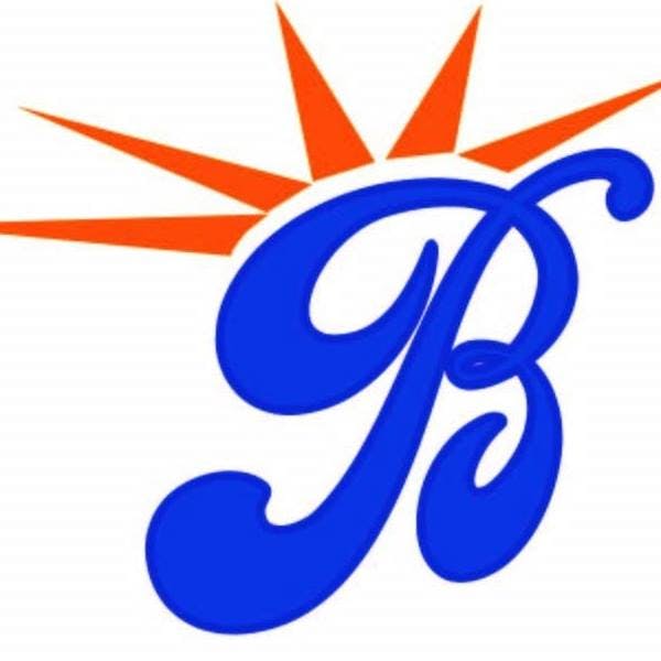 Brooklyn Young Democrats