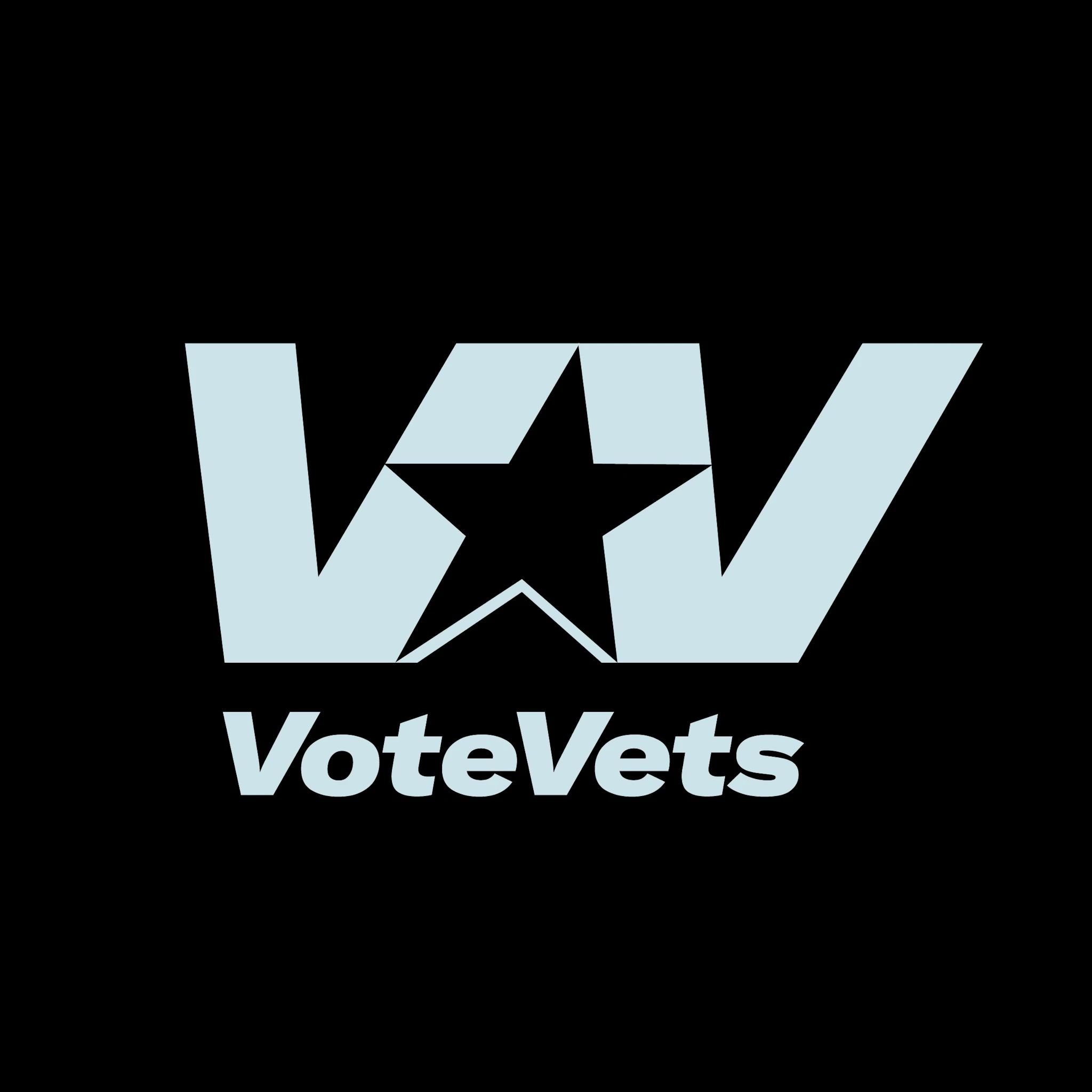 VoteVets VoteVets logo
