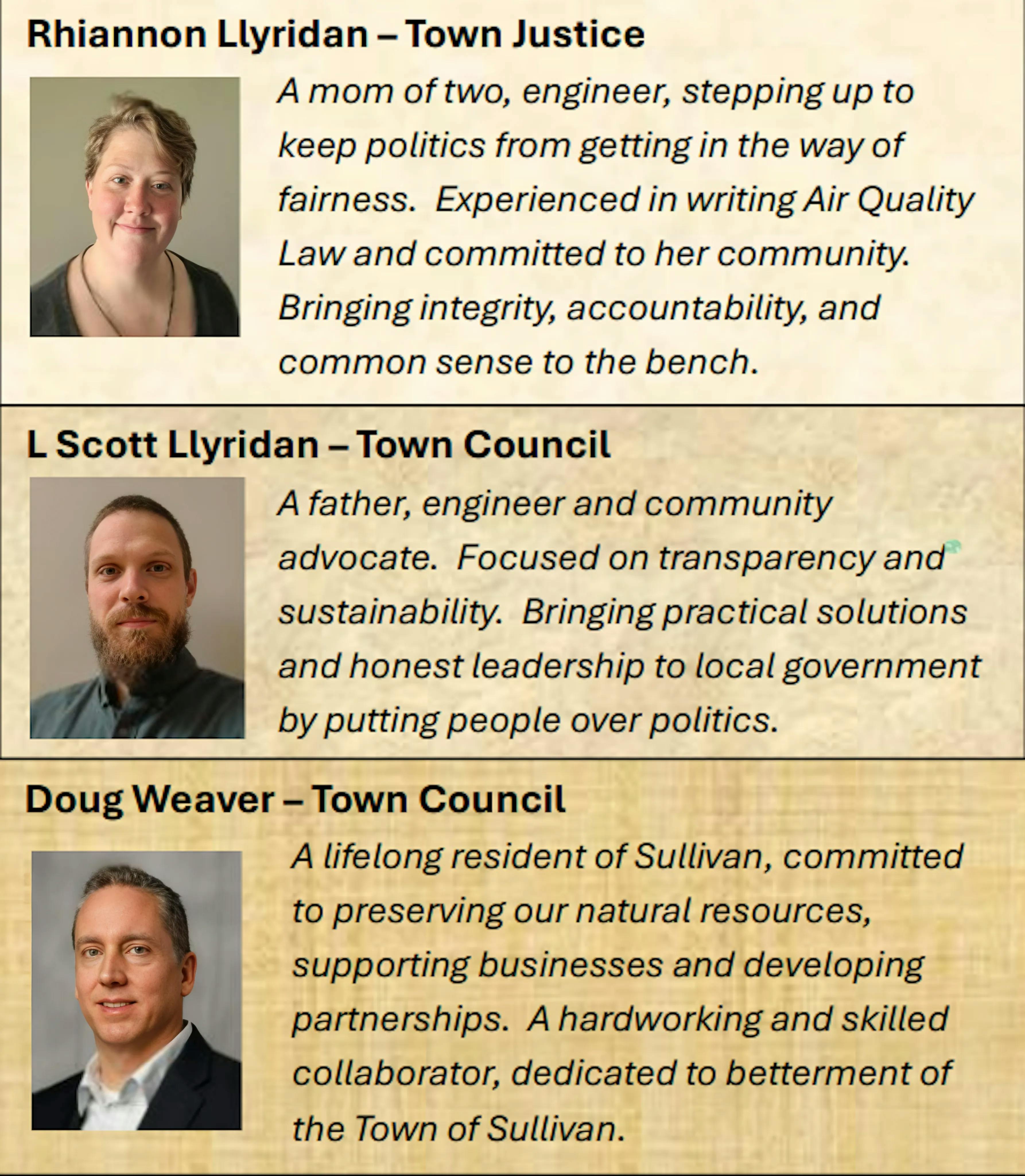 town of Sullivan candidates