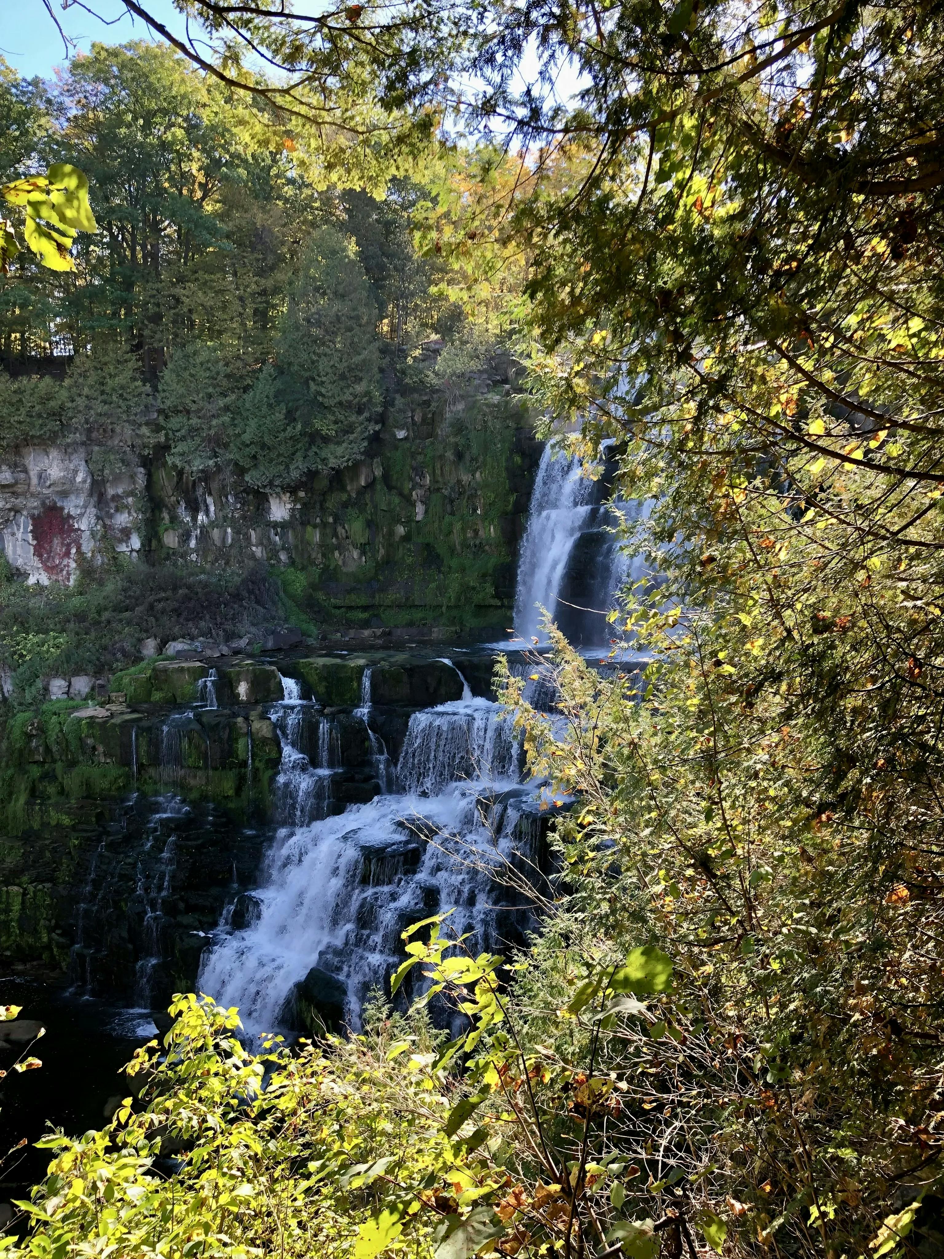 Hero background image