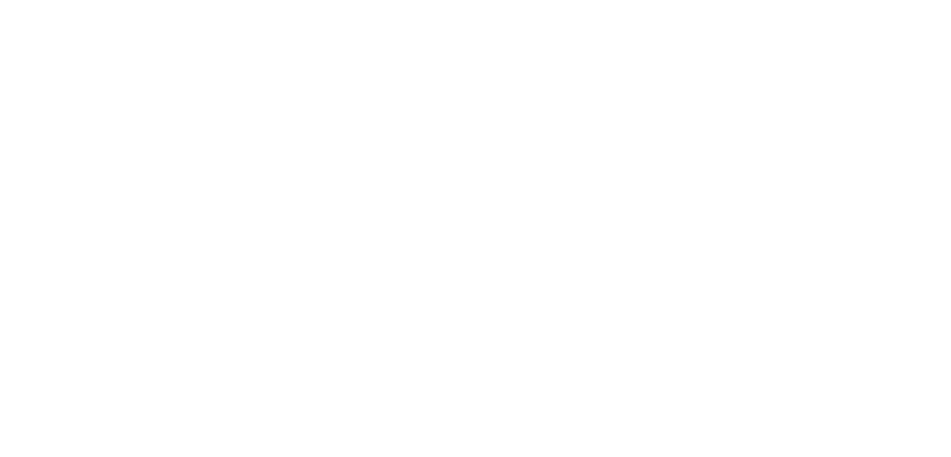 Pacheco For Supervisor - BZD Refresh logo