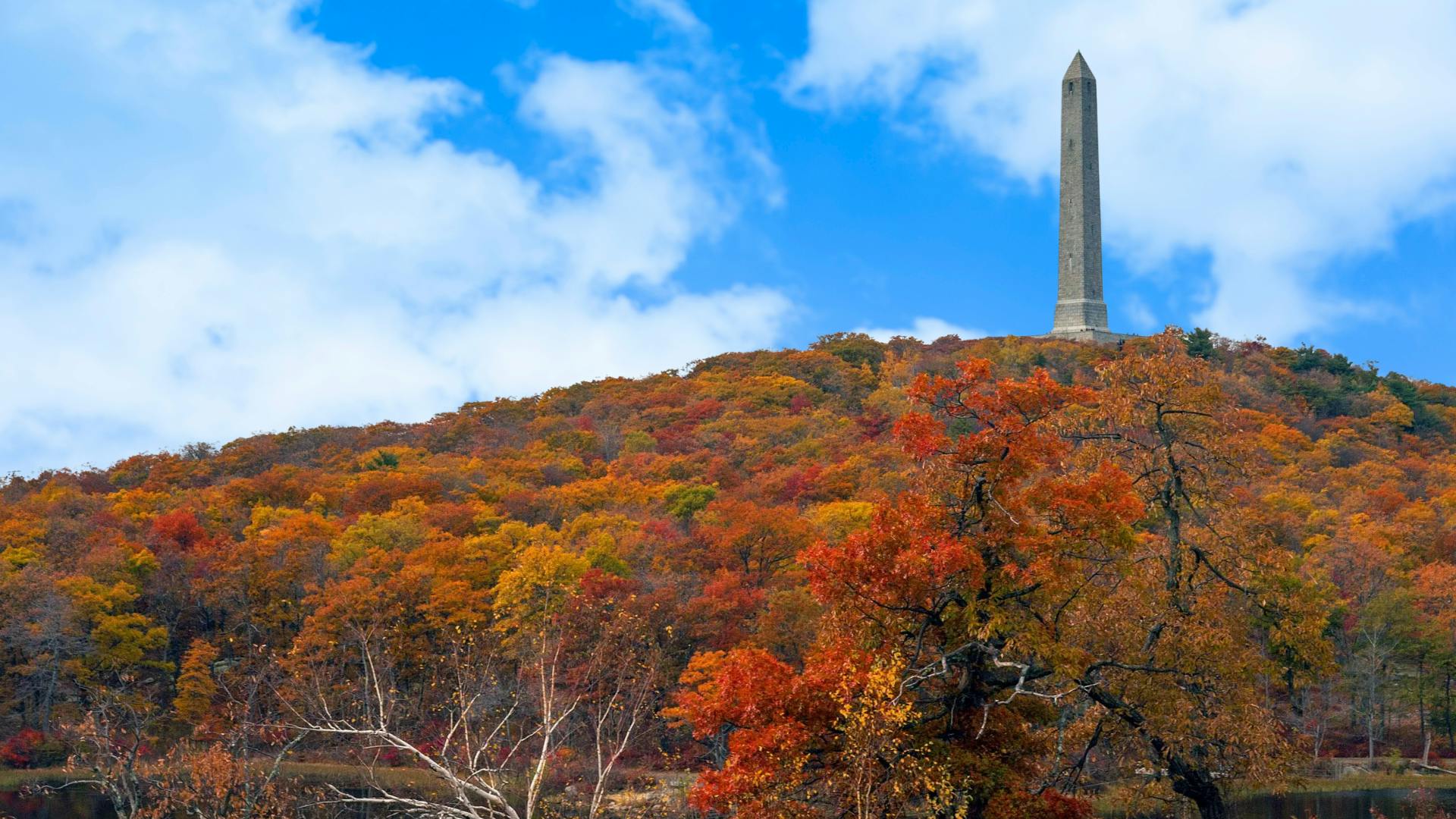 Hero background image