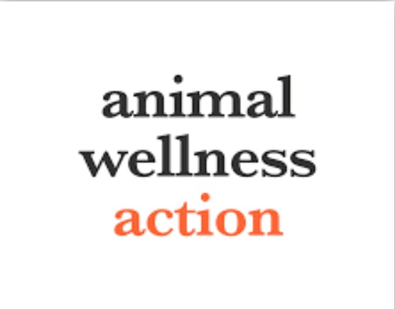 Animal Wellness Action