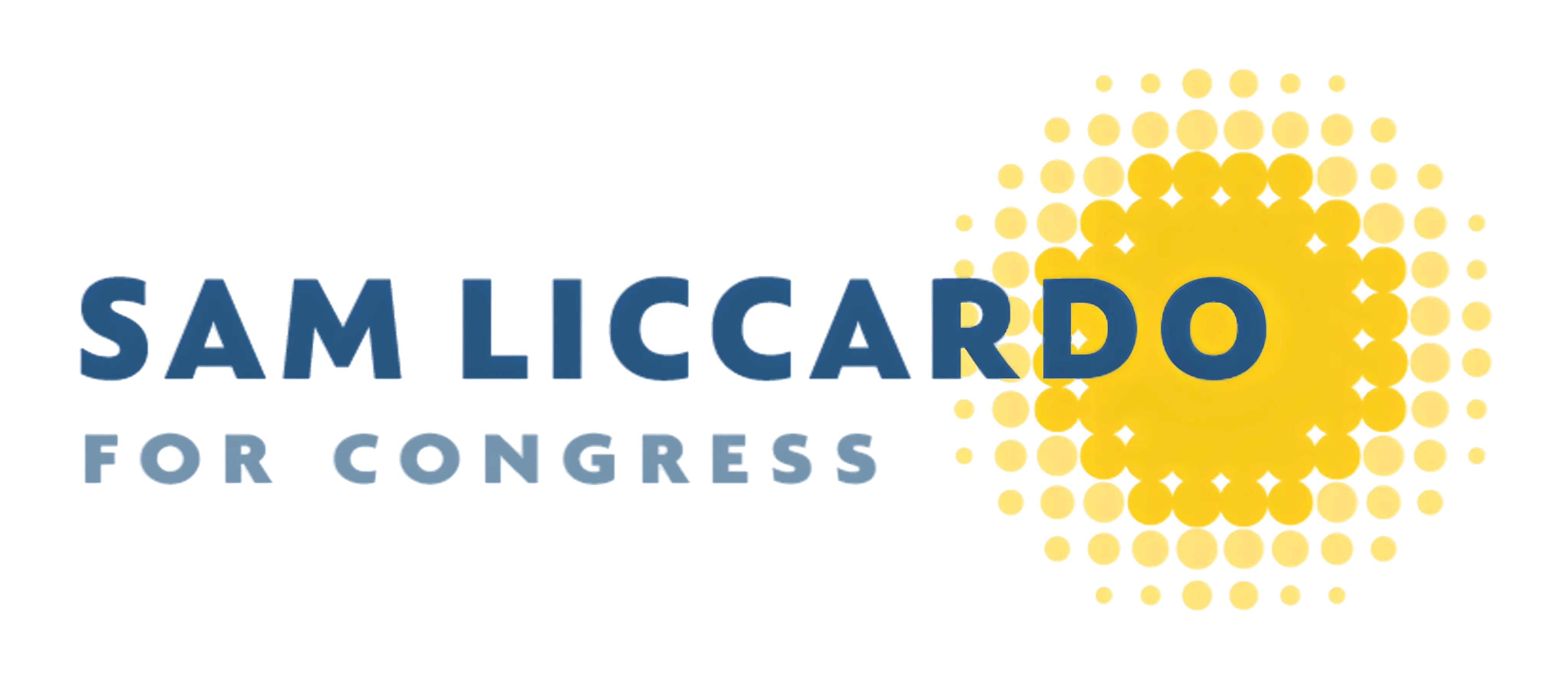 samliccardo.com logo