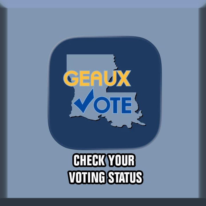Check Your Voting Status