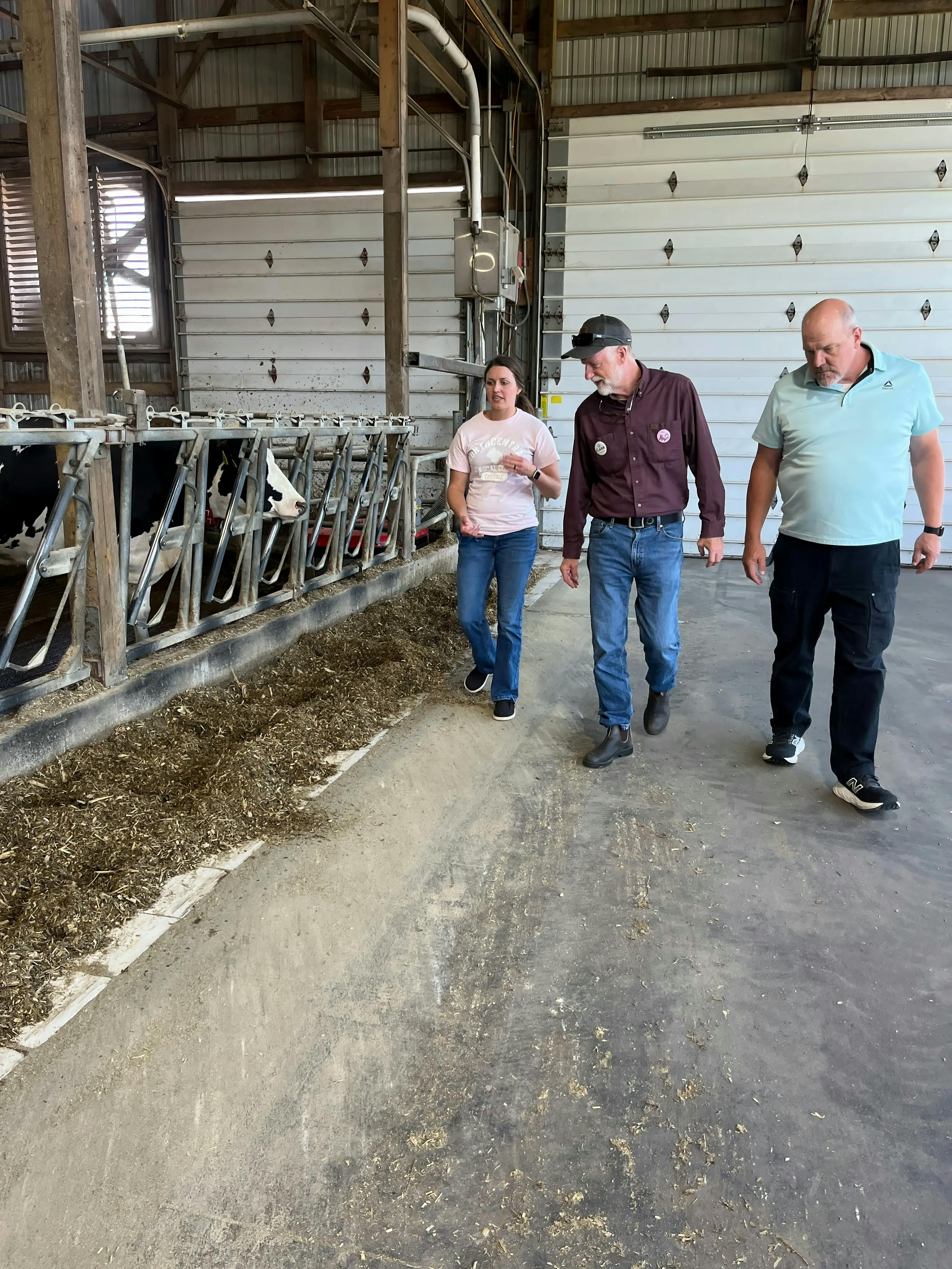 Photo of Fred Clark walking a dairy farm.