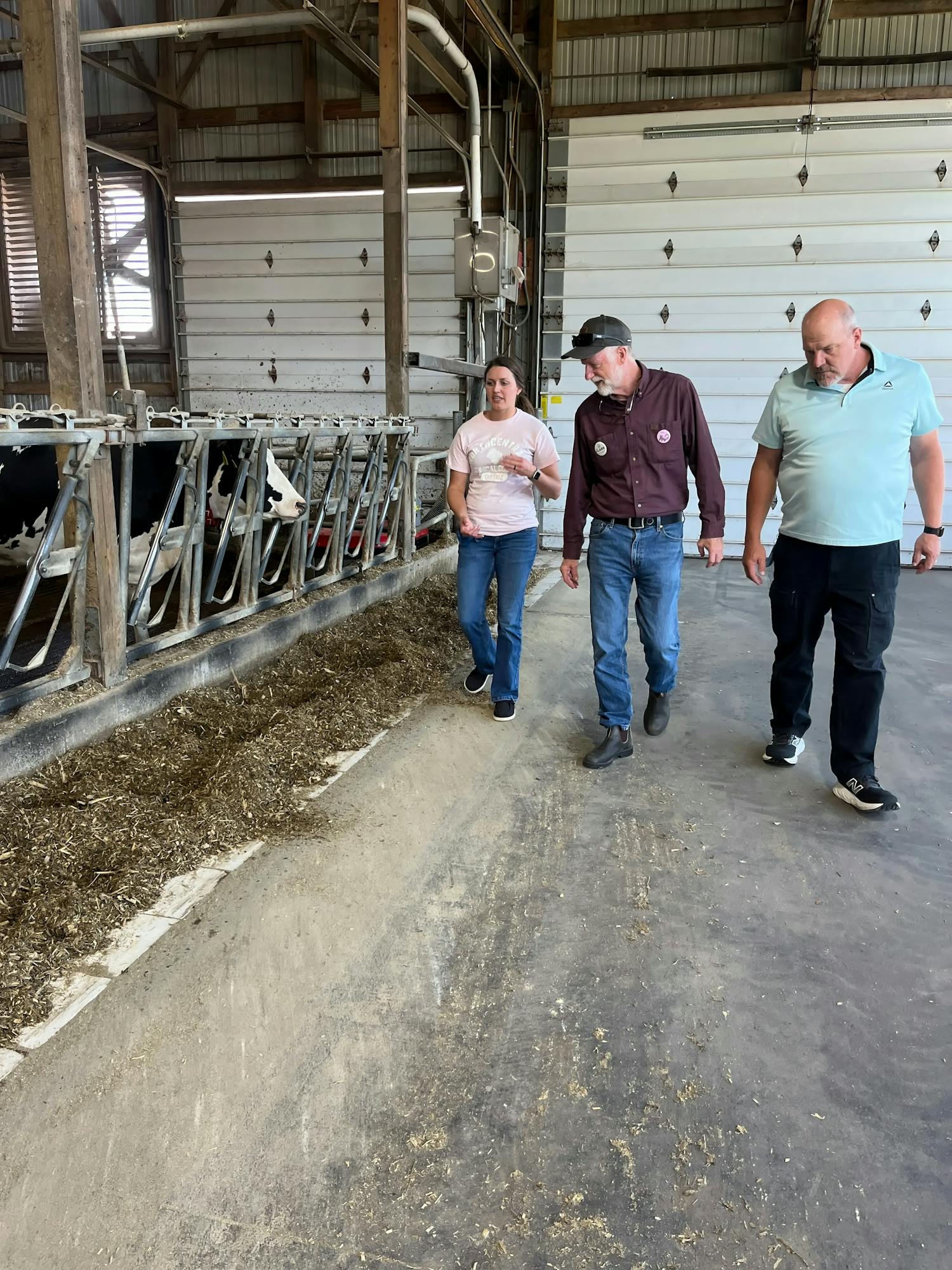 Photo of Fred Clark walking a dairy farm.