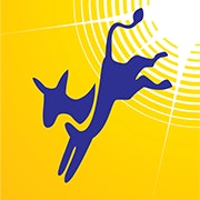 <p>Peter Grossman</p>