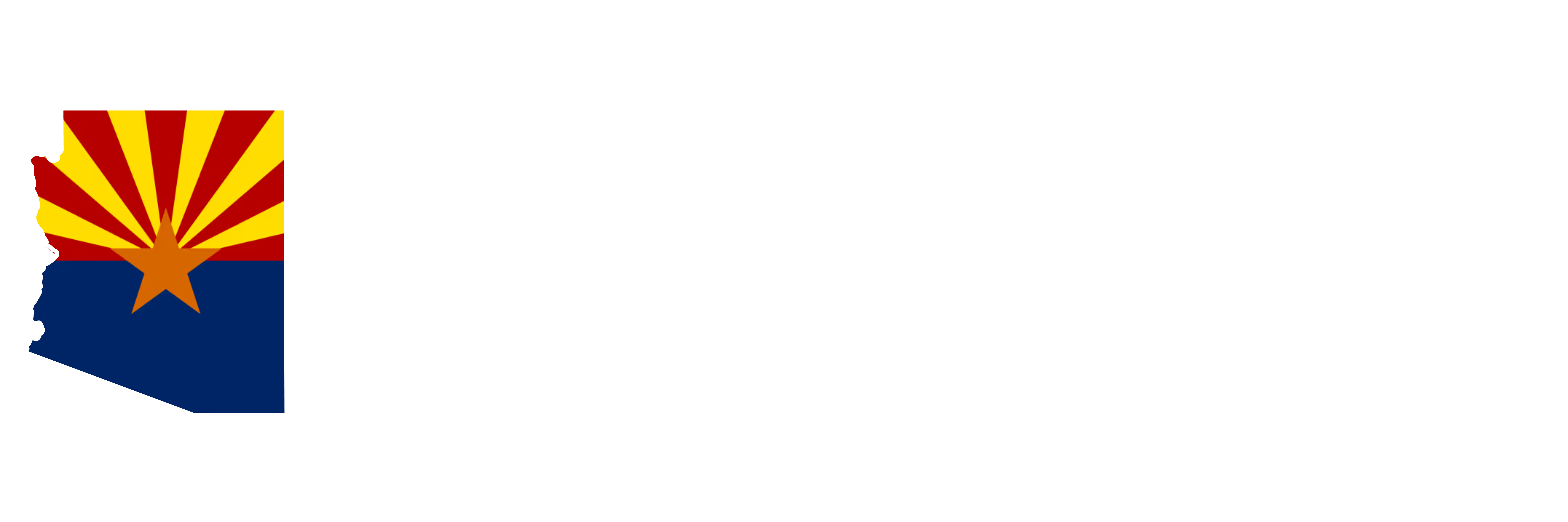 Elizabeth Lee for Congress logo