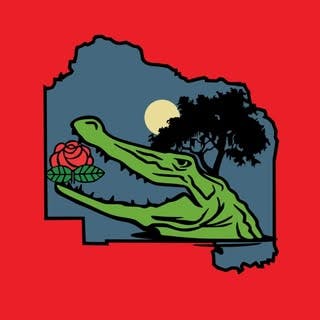 Alachua County DSA